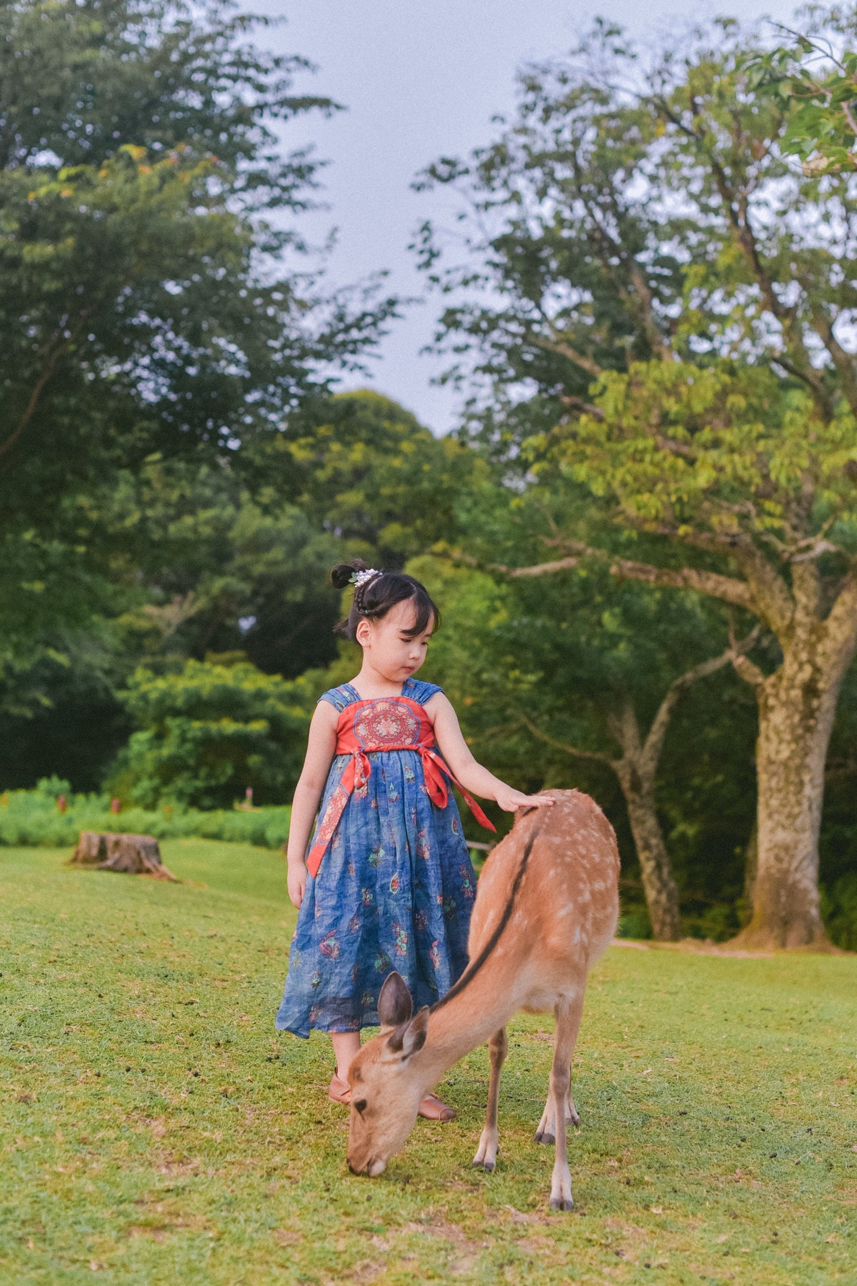 Indigo Ember blue and vermilion Hanfu-inspired dress with adjustable sash